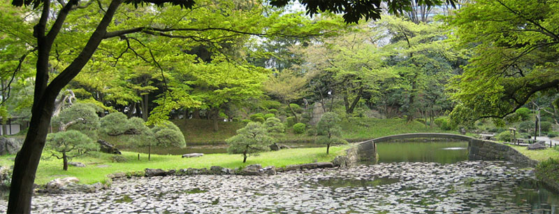 Сад Коисикава в Токио
